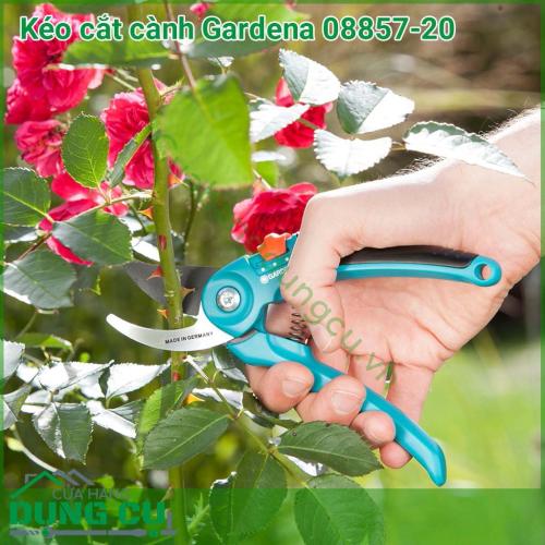 Kéo cắt cành Gardena 08857-20 với lưới dao sắc bén được làm bằng thép không gỉ chất lượng cao. Khi cắt tạo nên một vết cắt phẳng mịn. Tay cầm được bọc nhựa mềm mại tạo cảm giác thoải mái cho người sử dụng.