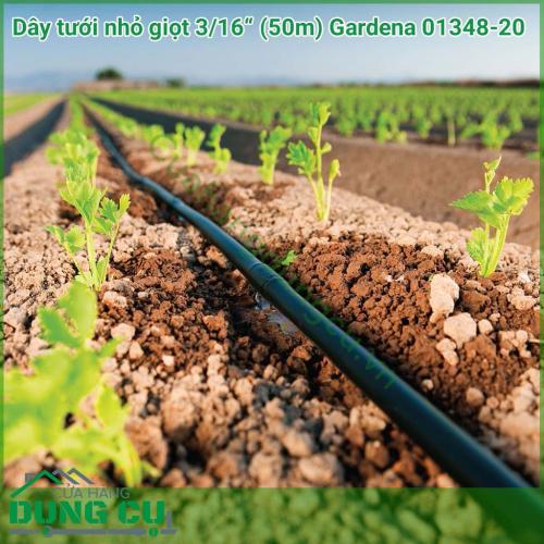 Dây tưới nhỏ giọt 3/16 inch 50m Gardena 01348-20 là đường dây phụ cung cấp cho hệ thống tưới nhỏ giọt đến từng cây riêng lẻ. Dây được làm bằng vật liệu chất lượng cao cho chất lượng sản phẩm tốt và thời gian sử dụng lâu dài.