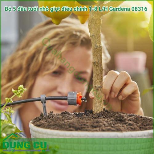 Bộ 5 đầu tưới nhỏ giọt điều chỉnh 1-8l/h Gardena 08316 phù hợp cho những cây đứng riêng lẻ khi sử dụng cùng với dây tưới đường kính 3/16 (01348-20) và những hàng cây thẳng khi sử dụng với ống dây đường kính 13mm (01347-20).