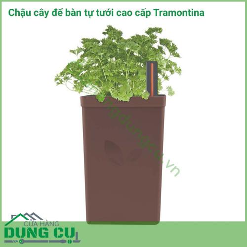 Chậu cây để bàn tự tưới cao cấp Tramontina được sản xuất tại Brazil thuộc thương hiệu Tramontina. Sản phẩm được làm bằng chất liệu cao cấp, độ bền cao, nhỏ gọn.