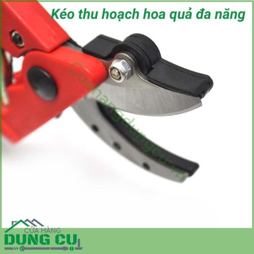 Kéo thu hoạch hoa quả, cắt tỉa cây đa năng chuyên sử dụng để cắt tỉa cành, hoa và cây ăn quả trong vườn. Kéo thích hợp cho việc cắt quả cà chua, dưa chuột, nho, cam, quýt,...Lưỡi kéo mạnh mẽ, sắc bén và bền vững. Kéo cầm vừa tay, gọn nhẹ