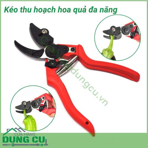 Kéo thu hoạch hoa quả, cắt tỉa cây đa năng chuyên sử dụng để cắt tỉa cành, hoa và cây ăn quả trong vườn. Kéo thích hợp cho việc cắt quả cà chua, dưa chuột, nho, cam, quýt,...Lưỡi kéo mạnh mẽ, sắc bén và bền vững. Kéo cầm vừa tay, gọn nhẹ