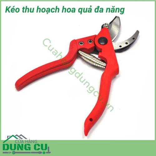 Kéo thu hoạch hoa quả, cắt tỉa cây đa năng chuyên sử dụng để cắt tỉa cành, hoa và cây ăn quả trong vườn. Kéo thích hợp cho việc cắt quả cà chua, dưa chuột, nho, cam, quýt,...Lưỡi kéo mạnh mẽ, sắc bén và bền vững. Kéo cầm vừa tay, gọn nhẹ