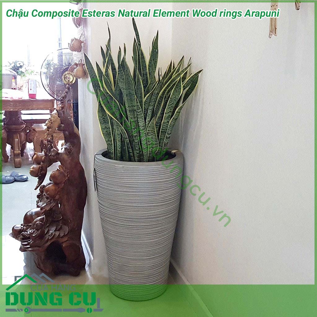 Chậu Composite Esteras Natural Element Wood rings Arapuni được lấy ý tưởng từ các từ thiên nhiên được thiết kế mộc mạc kết hợp màu sắc trang nhã nhẹ nhàng đem lại sự sang trọng và tinh tế cho không gian nhà bạn.