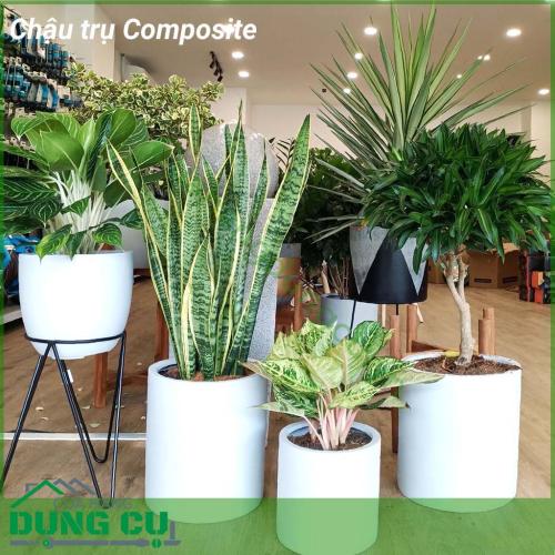 Chậu trụ Composite với kiểu dáng tao nhã thích hợp cho cả đặt trong mọi không gian nội ngoại thất từ nhà ở đến sảnh, hành lang, văn phòng công ty,...Chất liệu Composite giúp chậu tuy dáng to nhưng vẫn đẹp và thu hút, bền chắc theo thời gian.