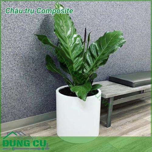 Chậu trụ Composite với kiểu dáng tao nhã thích hợp cho cả đặt trong mọi không gian nội ngoại thất từ nhà ở đến sảnh, hành lang, văn phòng công ty,...Chất liệu Composite giúp chậu tuy dáng to nhưng vẫn đẹp và thu hút, bền chắc theo thời gian.