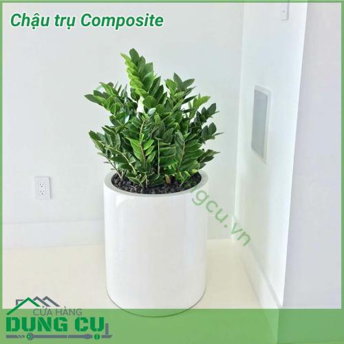 Chậu trụ Composite với kiểu dáng tao nhã thích hợp cho cả đặt trong mọi không gian nội ngoại thất từ nhà ở đến sảnh, hành lang, văn phòng công ty,...Chất liệu Composite giúp chậu tuy dáng to nhưng vẫn đẹp và thu hút, bền chắc theo thời gian.