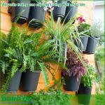 Bộ vườn tường cao cấp Dig Living Wall chậu lớn cho cảnh quan