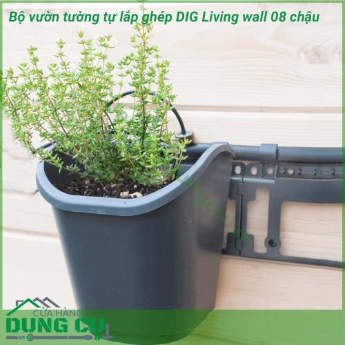 Bộ Vườn Tường 8 Chậu Tự Lắp Ghép Living Wall DIG GLW08 cung cấp một khái niệm mới trong việc làm vườn tại nhà, giúp người dùng dễ dàng set up khu vườn đứng, và có thể mở rộng chúng bằng cách nối tiếp các modul.