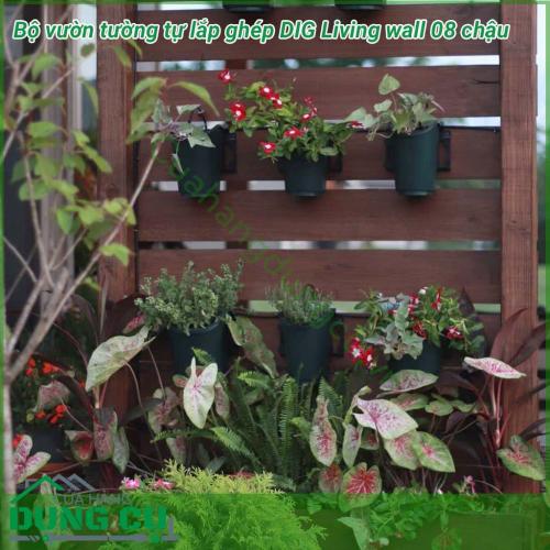 Bộ Vườn Tường 8 Chậu Tự Lắp Ghép Living Wall DIG GLW08 cung cấp một khái niệm mới trong việc làm vườn tại nhà, giúp người dùng dễ dàng set up khu vườn đứng, và có thể mở rộng chúng bằng cách nối tiếp các modul.