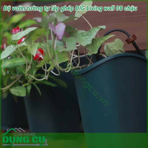 Bộ Vườn Tường 8 Chậu Tự Lắp Ghép Living Wall DIG GLW08 cung cấp một khái niệm mới trong việc làm vườn tại nhà, giúp người dùng dễ dàng set up khu vườn đứng, và có thể mở rộng chúng bằng cách nối tiếp các modul.