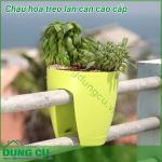 Chậu hoa lan can cao cấp