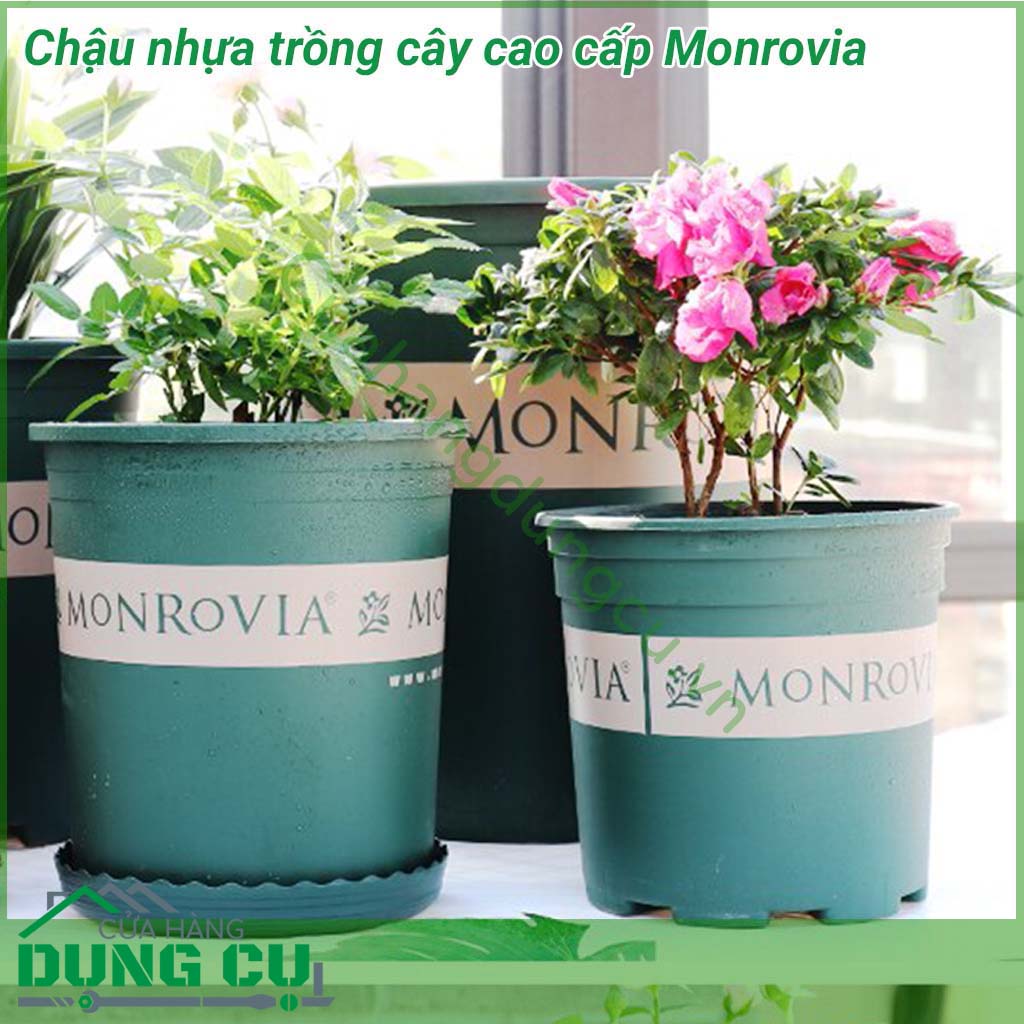 Chậu nhựa Monrovia cao cấp trồng cây bền - tốt, hàng nhập khẩu công ty, thích hợp dùng trồng cây tại nhà, trồng cây trên ban công, sân thượng. Phong cách Châu Âu mang lại vẻ đẹp sang trọng, đẳng cấp