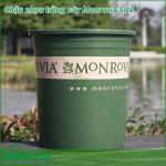 Chậu hoa Monrovia cao cấp size 7