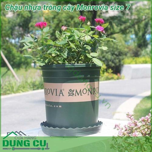 Chậu hoa Monrovia cao cấp size 7 bền - tốt, hàng nhập khẩu công ty, thích hợp dùng trồng cây tại nhà, trồng cây trên ban công, sân thượng. Phong cách Châu Âu mang lại vẻ đẹp sang trọng, đẳng cấp