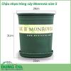 Chậu trồng cây cảnh Monrovia size 5 được sản xuất bằng nhựa pp với thiết kế thông minh và có độ nhám giúp các loại cây phát triển tốt nhất. Chậu Monrovia được thiết kế chuyên để trồng các loại hoa kiểng như: hoa trà my, hoa cúc,... 