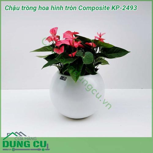 Chậu trồng hoa hình tròn Composite KP-2493 có kiểu dáng và màu sắc hiện đại, độ bền cao. Chậu mang nét đẹp hiện đại phù hợp với nét sống hiện đại ngày nay. Được mọi người yêu thích và lựa chọn để trang trí cho ngôi nhà, sân vườn, công ty hay nhà hàng…