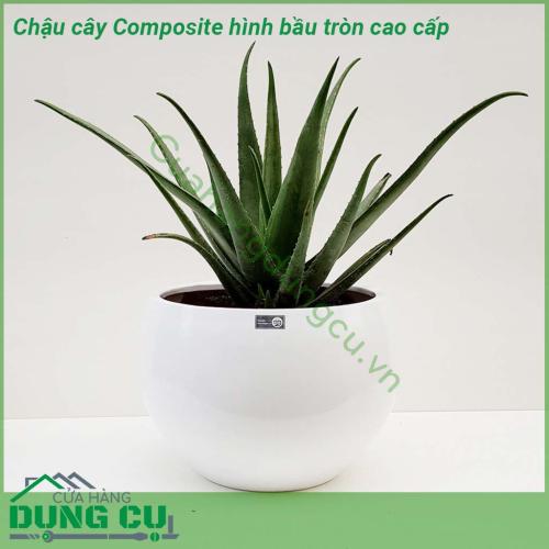 Chậu cây Composite hình bầu tròn cao cấp được thiết kế và làm theo các mẫu mã kiểu dáng từ cổ điển đến hiện đại theo phong cách Châu Âu. Kiểu dáng tròn bầu giữa. Chậu siêu nhẹ, dễ dàng vận chuyển đi xa, hoặc di chuyển lên cao theo mục đích sử dụng