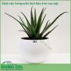 Chậu cây Composite hình bầu tròn cao cấp được thiết kế và làm theo các mẫu mã kiểu dáng từ cổ điển đến hiện đại theo phong cách Châu Âu. Kiểu dáng tròn bầu giữa. Chậu siêu nhẹ, dễ dàng vận chuyển đi xa, hoặc di chuyển lên cao theo mục đích sử dụng