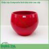 Chậu cây Composite hình bầu tròn cao cấp được thiết kế và làm theo các mẫu mã kiểu dáng từ cổ điển đến hiện đại theo phong cách Châu Âu. Kiểu dáng tròn bầu giữa. Chậu siêu nhẹ, dễ dàng vận chuyển đi xa, hoặc di chuyển lên cao theo mục đích sử dụng