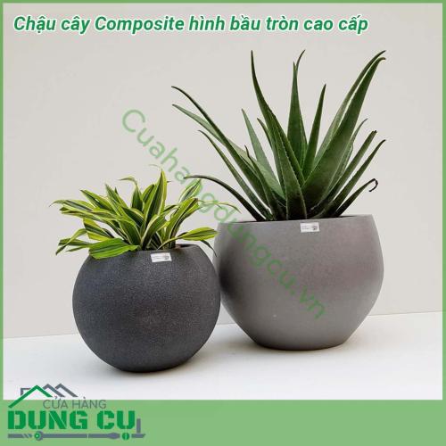 Chậu cây Composite hình bầu tròn cao cấp được thiết kế và làm theo các mẫu mã kiểu dáng từ cổ điển đến hiện đại theo phong cách Châu Âu. Kiểu dáng tròn bầu giữa. Chậu siêu nhẹ, dễ dàng vận chuyển đi xa, hoặc di chuyển lên cao theo mục đích sử dụng