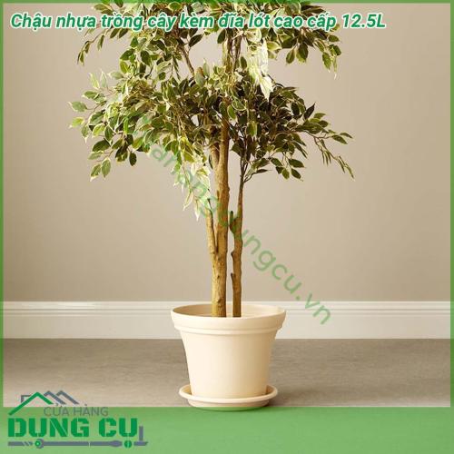 Chậu nhựa trồng cây kèm đĩa lót cao cấp 12 5L kết cấu chậu dày dặn chịu sức nặng tốt Chất liệu nhựa PP an toàn KHÔNG MÙI KHÔNG hại môi trường Có đĩa lót đi cùng giúp cho việc tưới không bị thoát nước ra ngoài đảm bảo vệ sinh thẩm mỹ