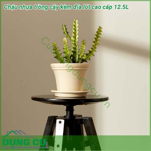 Chậu nhựa trồng cây kèm đĩa lót cao cấp 12 5L kết cấu chậu dày dặn chịu sức nặng tốt Chất liệu nhựa PP an toàn KHÔNG MÙI KHÔNG hại môi trường Có đĩa lót đi cùng giúp cho việc tưới không bị thoát nước ra ngoài đảm bảo vệ sinh thẩm mỹ