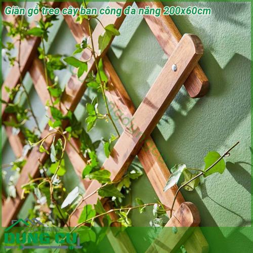 Giàn gỗ treo cây ban công đa năng 200x60cm được làm từ gỗ đã được xử lý tỉ mỉ chịu được mọi yếu tố thời tiết nắng mưa độ bền cao khi sử dụng ngoài trời sản phẩm lại độc đáo khác biệt có thể co giãn gấp gọn dễ dàng phù hợp với không gian của bạn