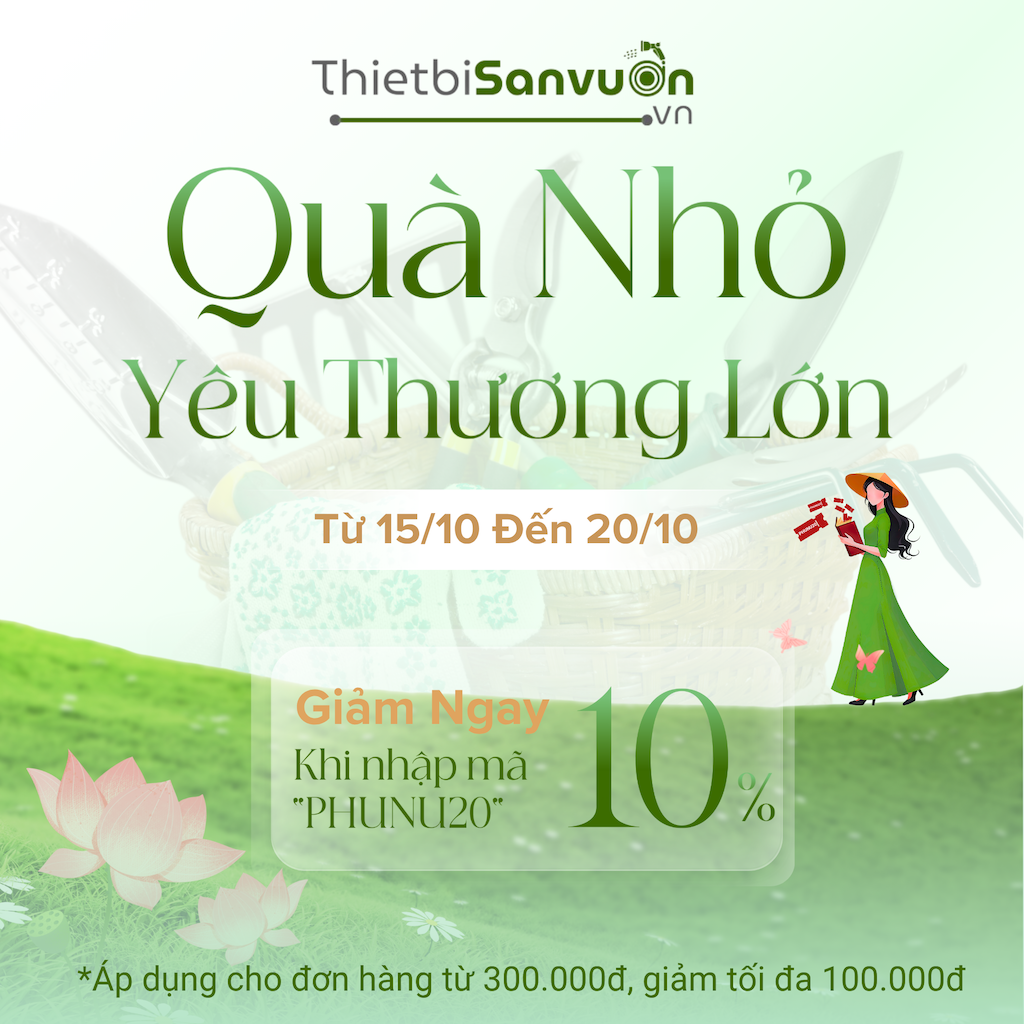 Khuyến mại ngày phụ nữ Việt Nam 20/10